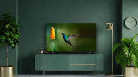 Hisense vs TCL: Which Budget TV Brand Is Best? | Livingetc