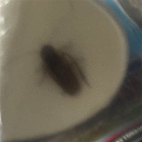 HAMPTON INN DEBARY DELTONA - Hotel Reviews, Photos, Rate Comparison ...