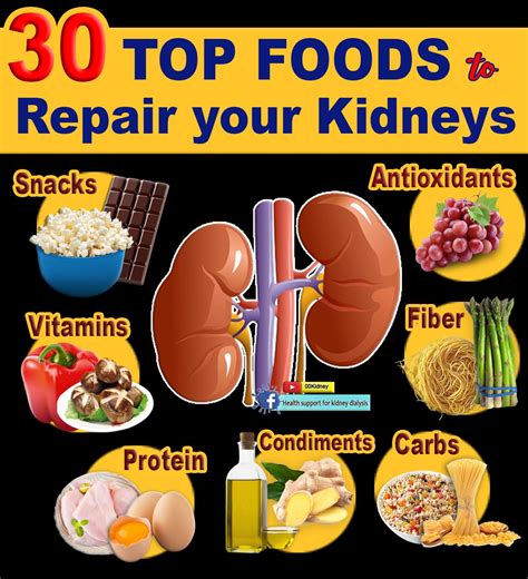30 FOODS to REPAIR the KIDNEYS | the Healthiest Foods on the Planet | Kidney diet recipes ...