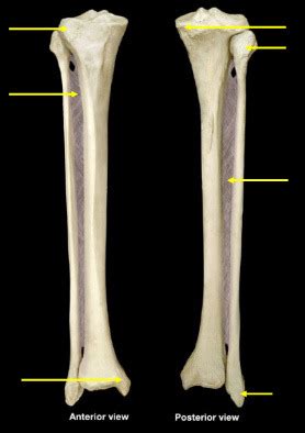 Image result for 92Y10a05 Practical Exercise