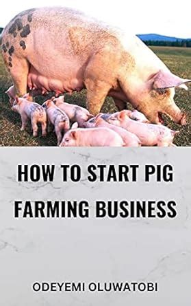 HOW TO START PIG FARMING BUSINESS: PIG FARMING eBook : Oluwatobi ...
