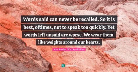 Image result for Words Cannot Be UN Said