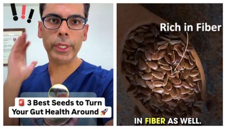 Struggling with constipation and poor gut health? Doctor shares 3 seeds ...