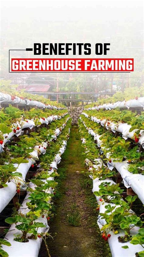 Web Stories | TractorGuru Web Stories