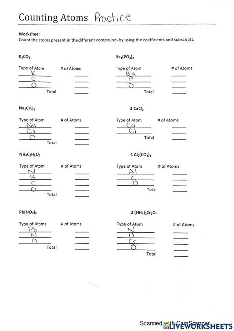 Image result for Absolute and Relative Change Worksheet