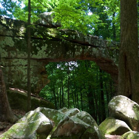 NATURAL BRIDGE STATE NATURAL AREA (2024) All You Need to Know BEFORE ...