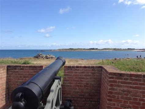 Donkey's Days Out (Vale) - All You Need to Know BEFORE You Go