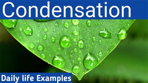 Example of Condensation 的图像结果