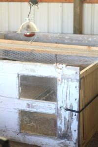 Brooding Pen 的图像结果