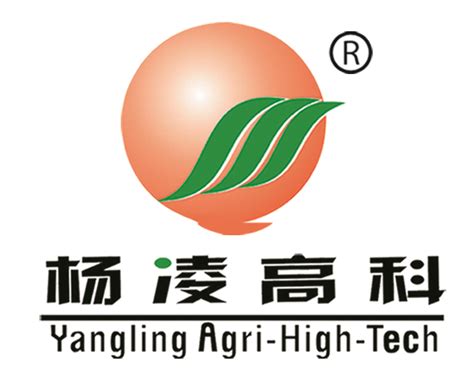杨凌农业高科技发展股份有限公司 - 杨凌农业高科技发展股份有限公司