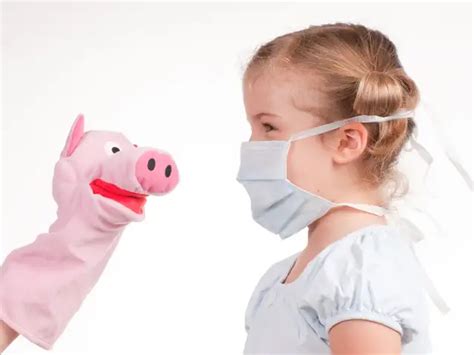 Swine Flu: Myths Vs Facts; Home Remedies For Speedy Recovery - Busting ...