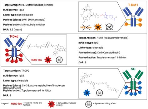 Antibody–Drug Conjugates for the Treatment of Breast Cancer