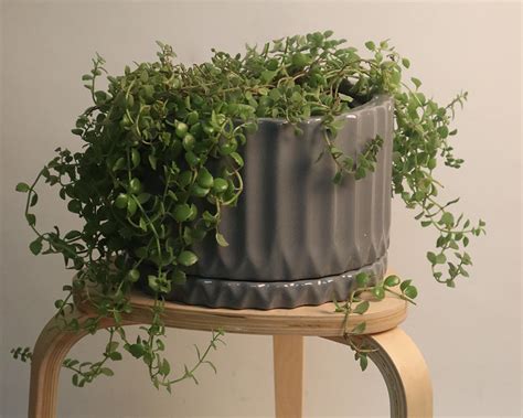 Effortless Elegance: Seamless Planter & Saucer Sets | Harla Arts