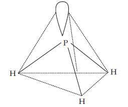 NCERT Solutions for Class 11 Chemistry Chapter 4 Chemical Bonding and ...