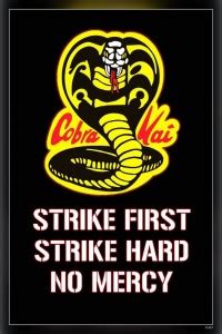 Cobra Kai Cobra Karate Kid No Mercy Strike First Strike Hard Matte ...