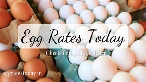 Today Egg Rates In India (Live NECC Egg Price) - Updated Daily