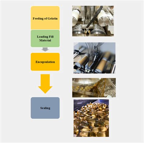 Pill Making Machine 的图像结果