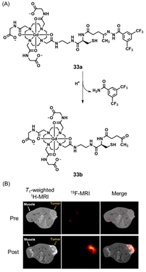 Dual-Mode Tumor Imaging Using Probes That Are Responsive to Hypoxia ...
