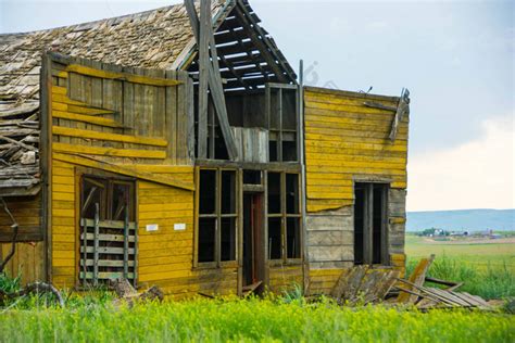 华盛顿州 帕卢斯 的图像结果