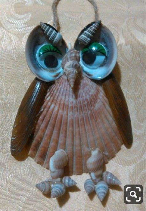 Finding Sea Shells 的图像结果