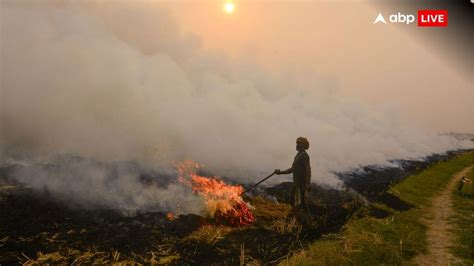 Punjab Files 12 FIRs Against Farmers For Stubble Burning After 48 Fires ...