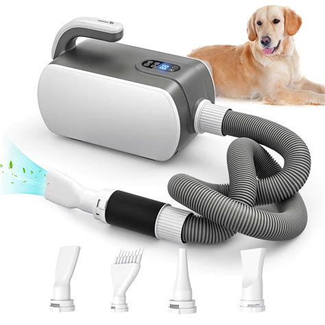 Best Dog Hair Dryer for Efficient Drying After Bathing Your Pet - I ...
