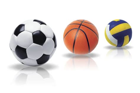 Ball Python Life Expectancy 的图像结果