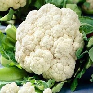 VibeX XII-547-Organic Desi Cauliflower Super Snowball Seeds Seed Price ...