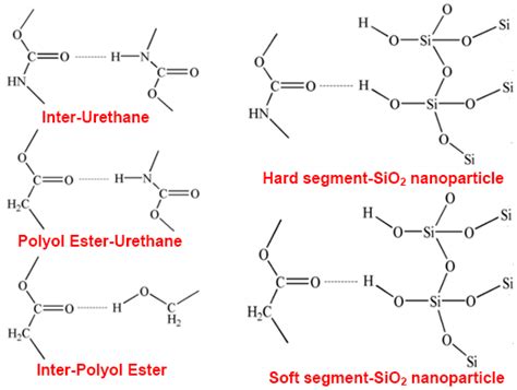 Thermal Behaviors, Interfacial Microstructure and Molecular Orientation ...