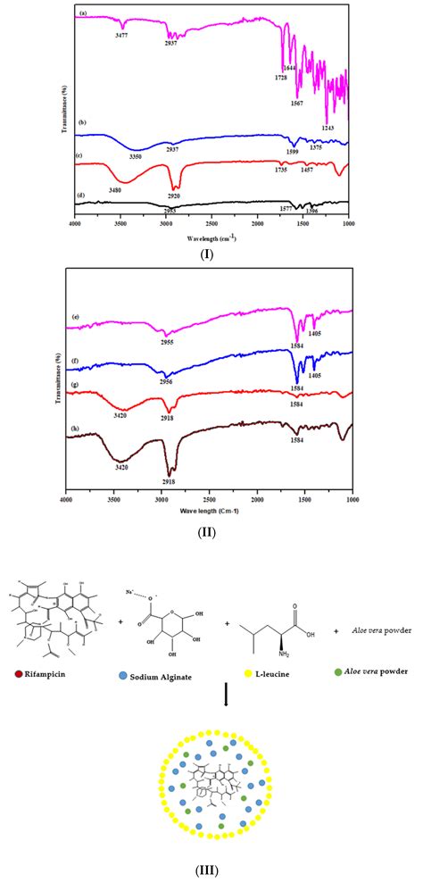 Polymeric Microparticles: Synthesis, Characterization and In Vitro ...