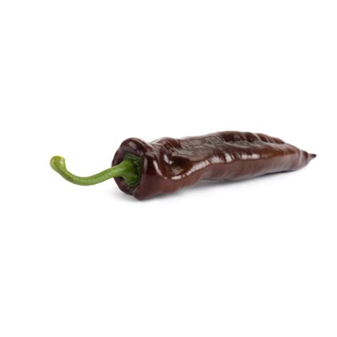 Sweet Pepper Seeds | Dulce Italiano | Sweet | CHOCOLONY RZ F1 | Rijk Zwaan