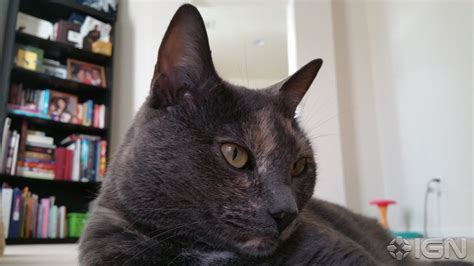 Slideshow: Samsung Galaxy Note 4 Sample Photos