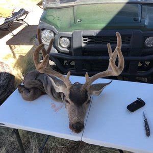 RIO SALADO SPORTSMANS CLUB - 79 Photos & 133 Reviews - Gun/Rifle Ranges ...