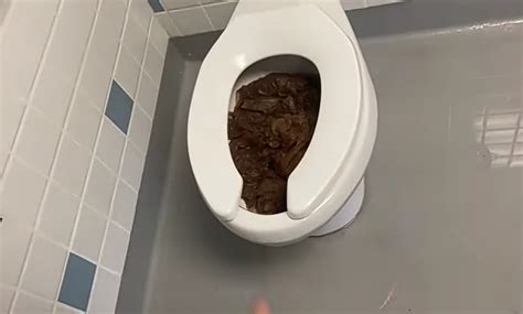 massive shit on high school : r/poop