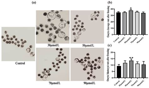 Effects of Chlorogenic Acid on In Vitro Maturation and Vitrification ...