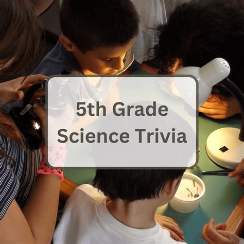 43 5th Grade Science Trivia Questions And Answers - Antimaximalist