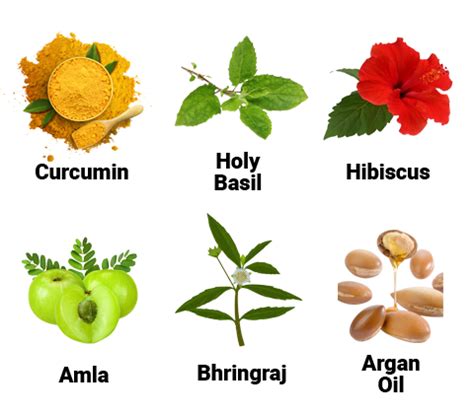 Super Value Pack Dark Brown Hair Color – Sacred Herbs