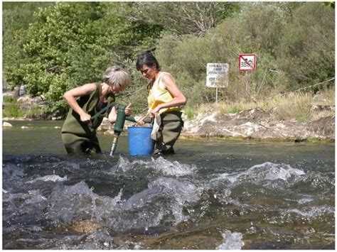 The Cent Fonts Aquifer: An Overlooked Subterranean Biodiversity Hotspot ...