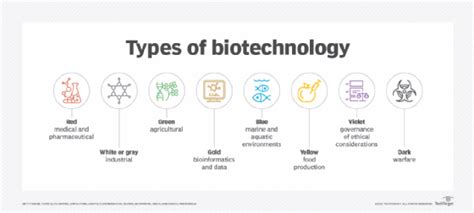 Biotechnology Examples Humans 的图像结果