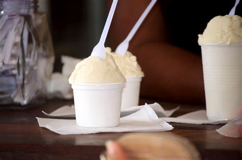 sorbet coco sorbetiere electrique