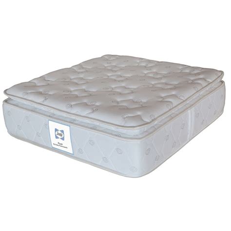 Buy Sealy Memory Foam Mattress - Plush online in India. Best prices ...