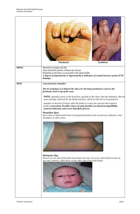 Newborn Assessment | PDF