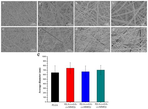 Electrospun Poly(lactide-co-glycolide-co-3(S)-methyl-morpholine-2,5 ...