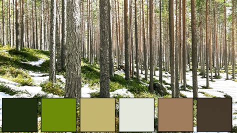 Nature Paper Color Set 的图像结果