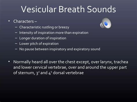 Approach to Lung sounds | PPT