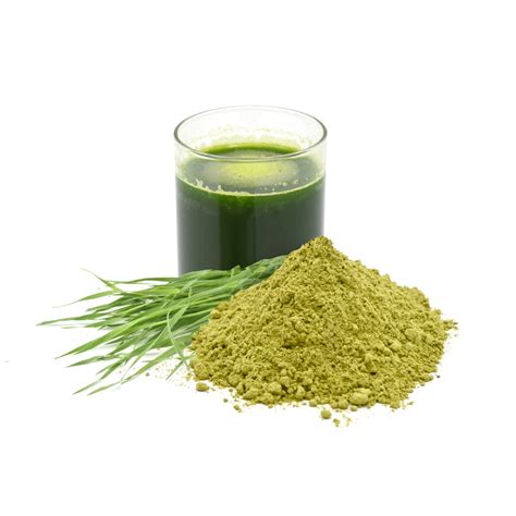 Wheatgrass Juice Powder - Made from Organically grown Sharbati variety ...