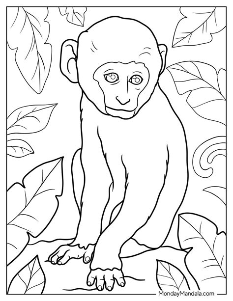 30 Monkey Coloring Pages (Free PDF Printables)