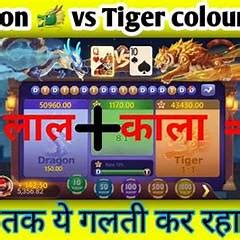 DRAGON VS TIGER LIVE WIN GAMO BOY