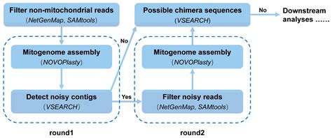 Advancing Mitochondrial Metagenomics: A New Assembly Strategy and ...