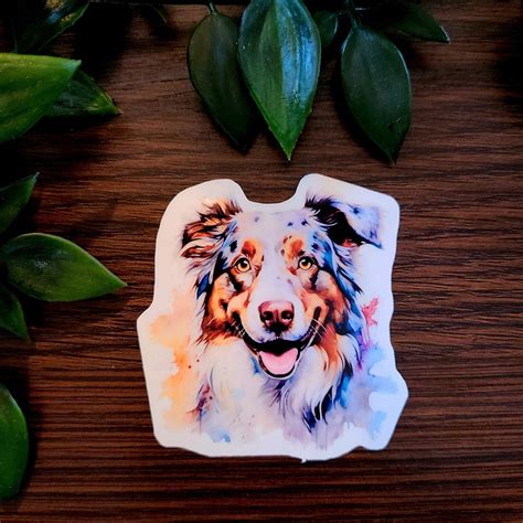 Australian Shepherd Dog, Spanish Shepherds, Pastor, Bob-tails, New ...